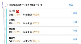 武漢江武科技開發咨詢有限責任公司 技術開發咨詢的卓越引領者